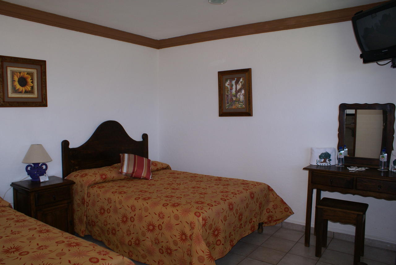 Hotel Los Sauces Villa Del Carbon Kamer foto